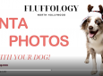 Pet Photos With Santa